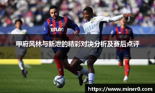 甲府风林与新泄的精彩对决分析及赛后点评
